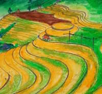 Giáo án Sinh hoạt dưới cờ lớp 10 chủ đề: Bảo tồn cảnh quan thiên nhiên tuần 20