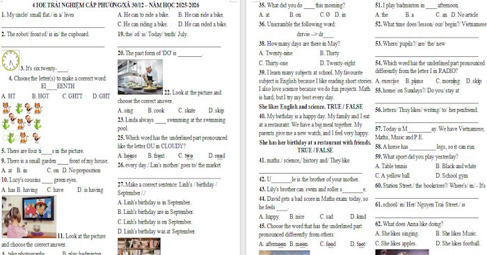 Đề thi IOE lớp 4 cấp xã/phường có đáp án