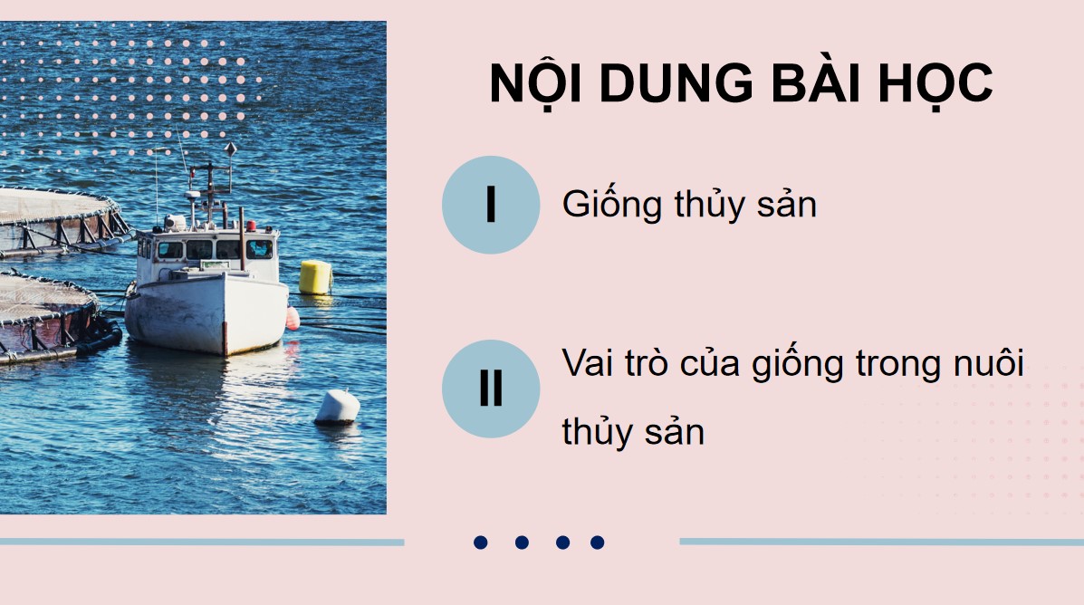 Giáo án PowerPoint Công nghệ 12 KNTT Bài 13