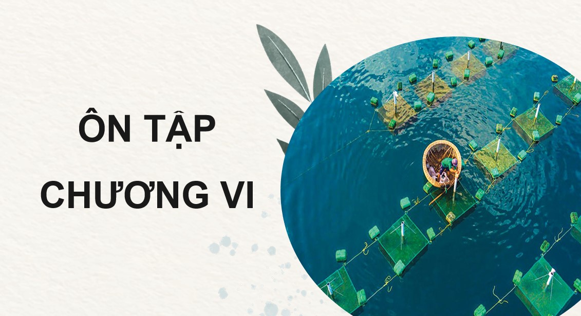 Giáo án PowerPoint Công nghệ 12 KNTT Bài Ôn tập chương 6