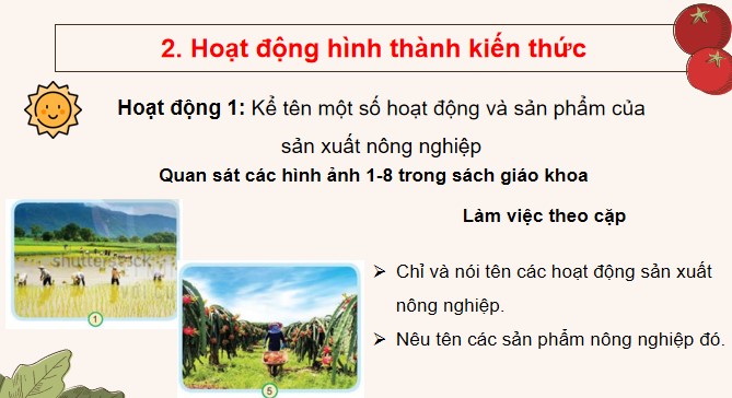 TNXH 3 KNTT bai 9 6*516227