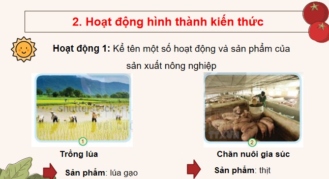 TNXH 3 KNTT bai 9 7*516228