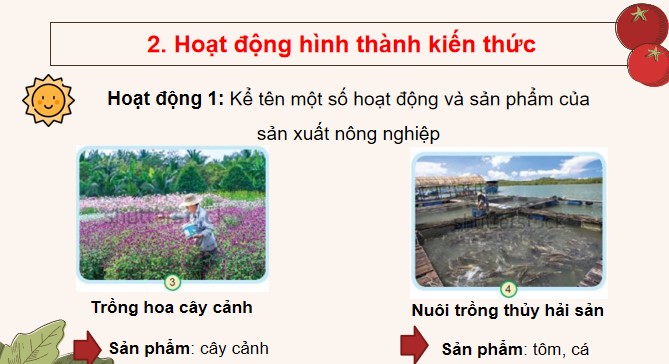 TNXH 3 KNTT bai 9 8*516229