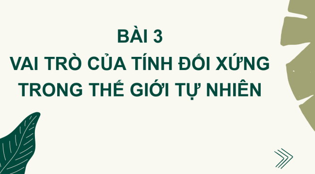 PowerPoint Toán 6 Bài 3: Vai trò của tính đối xứng trong thế giới tự nhiên