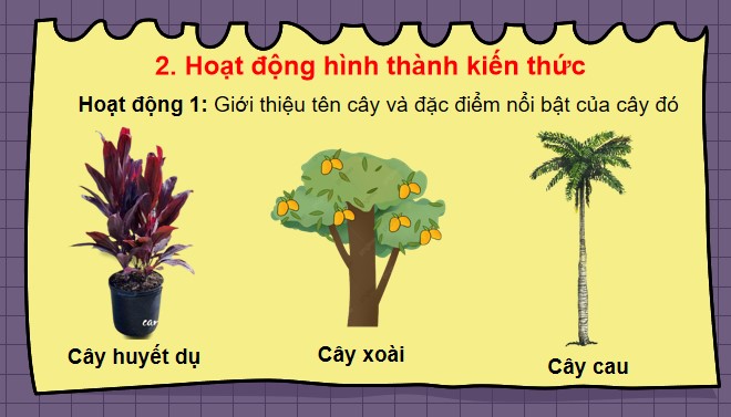 TNXH 3 bai 13 7*516882