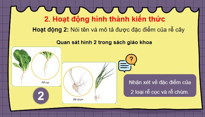 TNXH 3 bai 13 8*516884