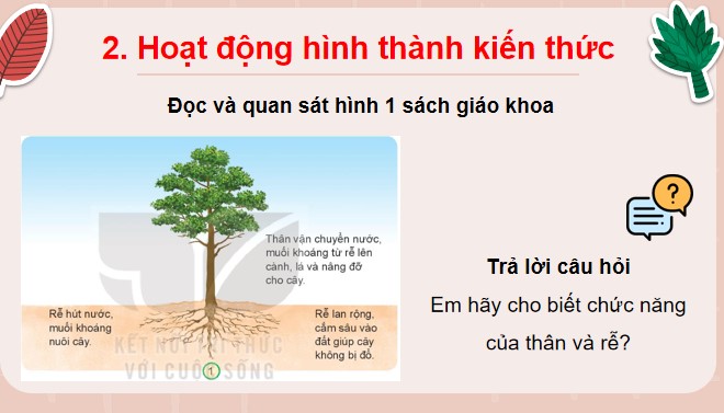 TNXH 3 bai 14 6*516888