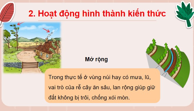 TNXH 3 bai 14 8*516886