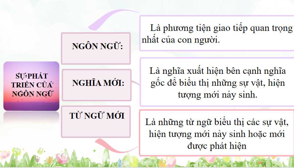 Giáo án Ngữ văn 9 Bài 9: Thực hành tiếng Việt