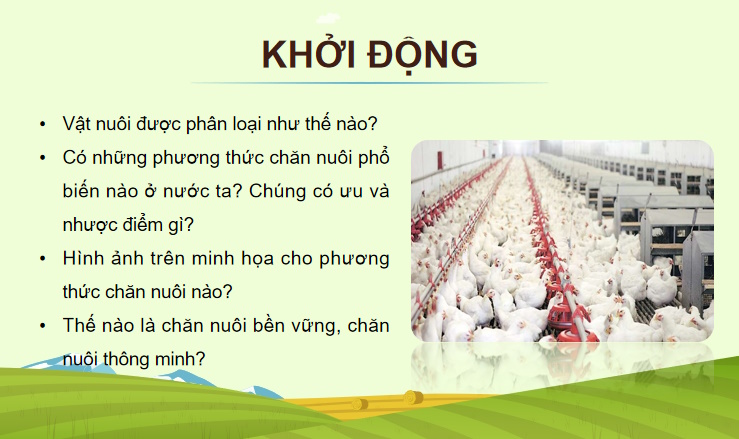 Bài giảng điện tử Công nghệ Chăn nuôi 11