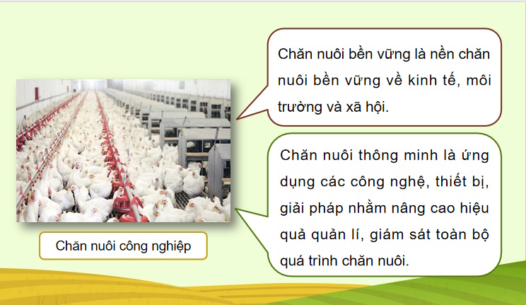 Bài giảng điện tử Công nghệ Chăn nuôi 11