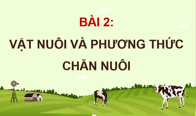 Bài giảng điện tử Công nghệ Chăn nuôi 11