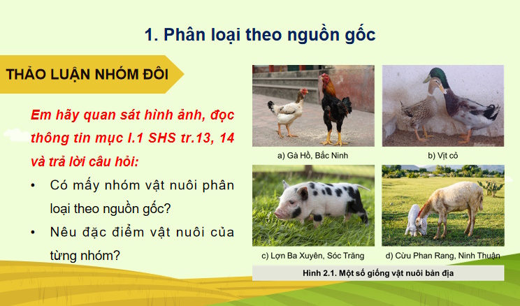 Bài giảng điện tử Công nghệ Chăn nuôi 11