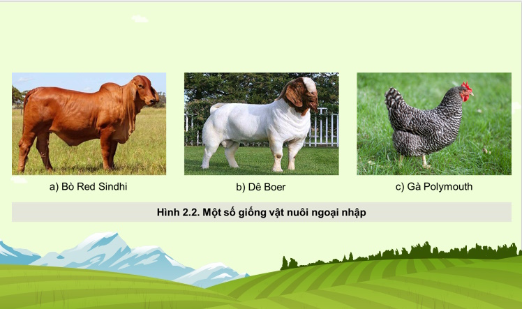 Bài giảng điện tử Công nghệ Chăn nuôi 11