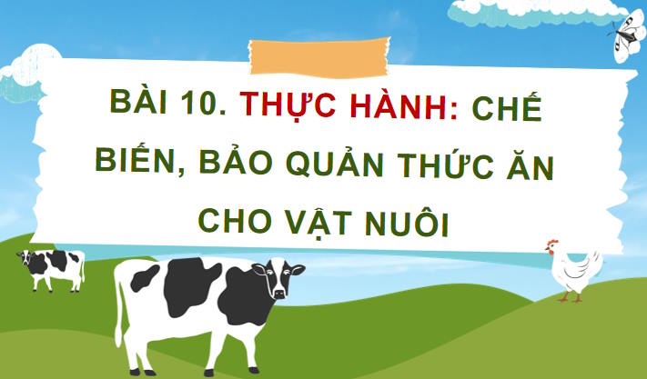 Thực hành Chế biến bảo quản thức ăn cho vật nuôi
