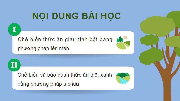Thực hành Chế biến bảo quản thức ăn cho vật nuôi
