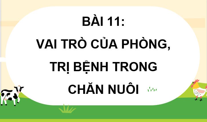 Vai trò của phòng, trị bệnh trong chăn nuôi