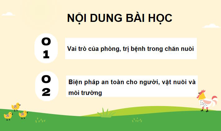 Vai trò của phòng, trị bệnh trong chăn nuôi