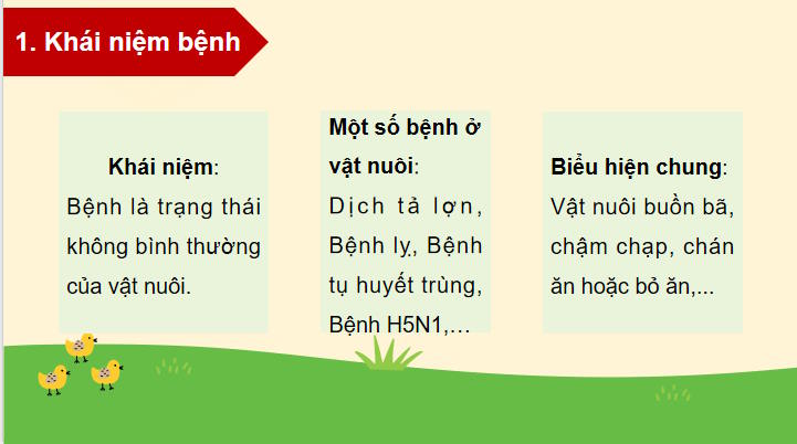Vai trò của phòng, trị bệnh trong chăn nuôi