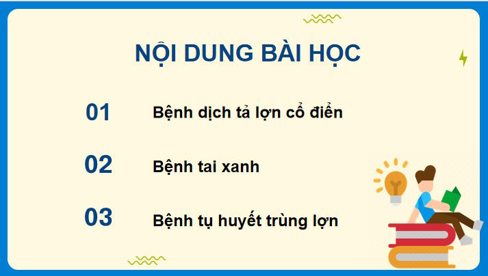 Một số bệnh phổ biến ở lợn và biện pháp phòng trị bệnh