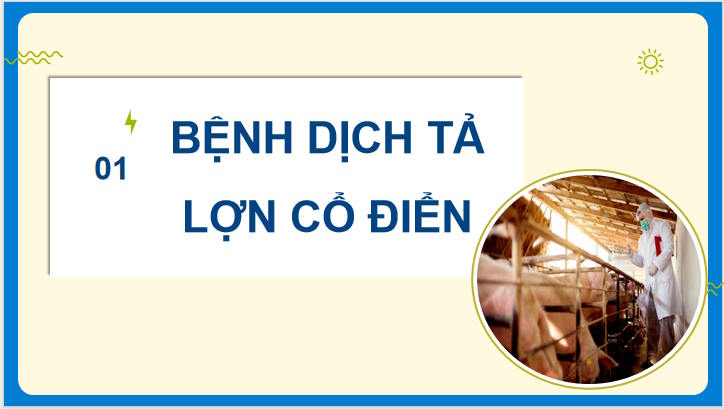 Một số bệnh phổ biến ở lợn và biện pháp phòng trị bệnh