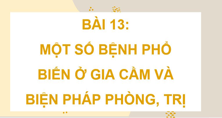 Một số bệnh phổ biến ở gia cầm và biện pháp phòng trị bệnh