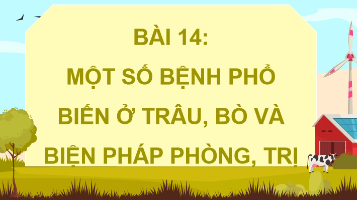 Một số bệnh phổ biến ở trâu bò và biện pháp phòng trị
