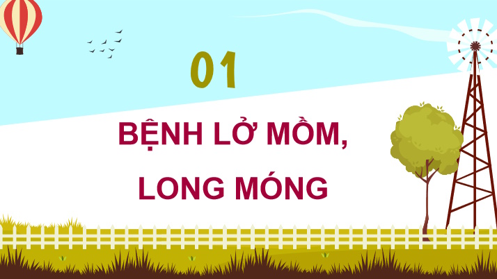 Một số bệnh phổ biến ở trâu bò và biện pháp phòng trị