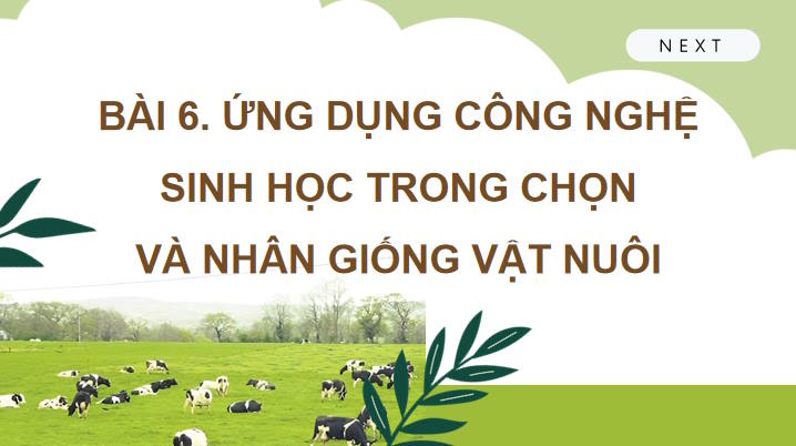 Ứng dụng công nghệ sinh học trong chọn và nhân giống vật nuôi