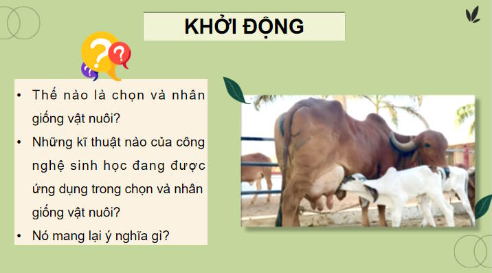 Ứng dụng công nghệ sinh học trong chọn và nhân giống vật nuôi