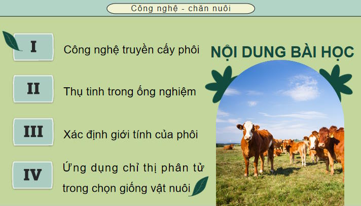 Ứng dụng công nghệ sinh học trong chọn và nhân giống vật nuôi
