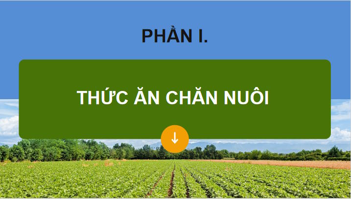 Thức ăn và nhu cầu dinh dưỡng của vật nuôi