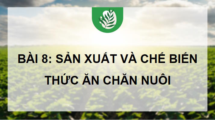 Sản xuất và chế biến thức ăn chăn nuôi