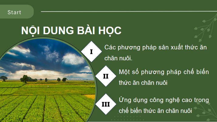 Sản xuất và chế biến thức ăn chăn nuôi