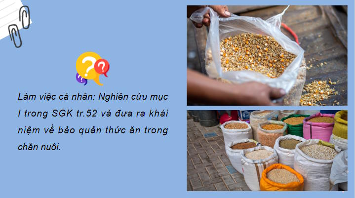 Bảo quản thức ăn chăn nuôi