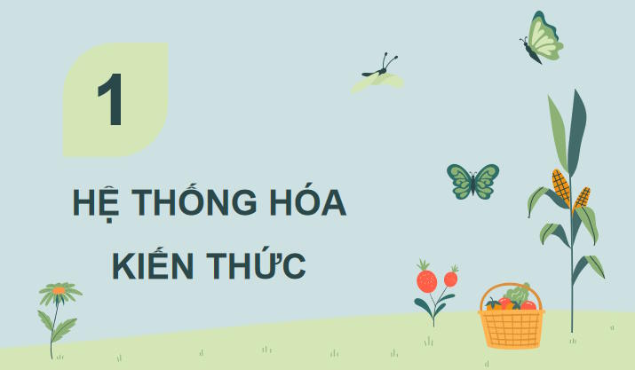 Giáo án Công nghệ Chăn nuôi 11 Ôn tập chương 1