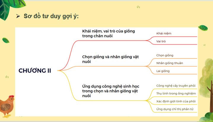 Giáo án Công nghệ Chăn nuôi 11 Ôn tập chương 2