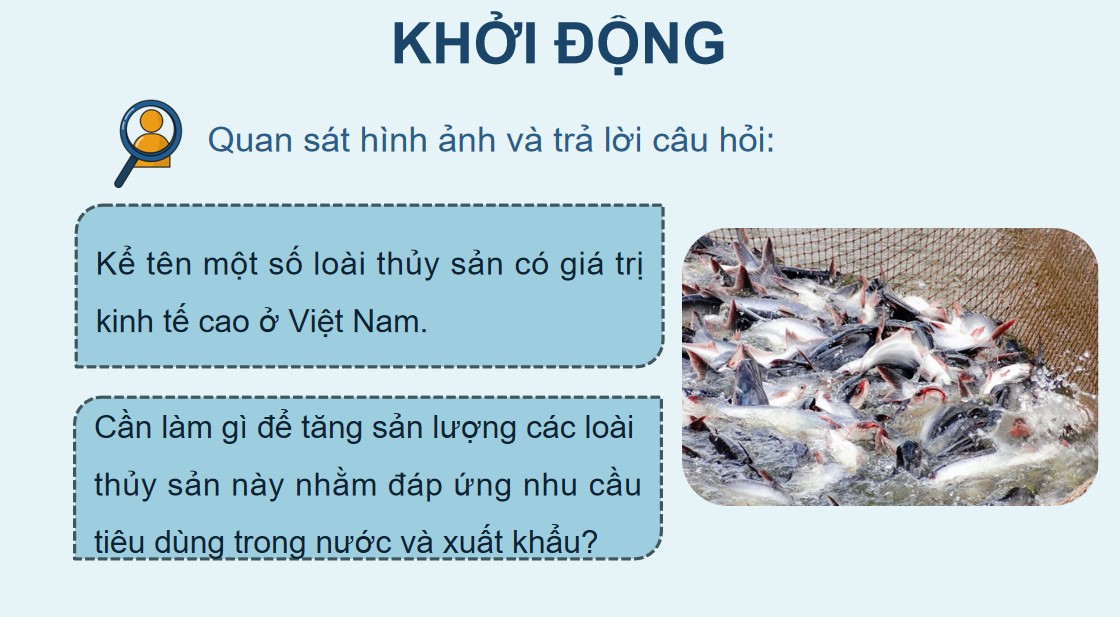 Giáo án PowerPoint Công nghệ 12 KNTT Bài 19
