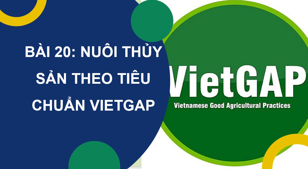 Giáo án PowerPoint Công nghệ 12 KNTT Bài 20