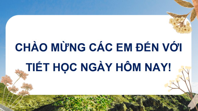 ppt mi thuat 4 kntt HK2 1*519278