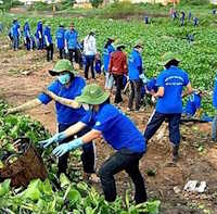 Giáo án Sinh hoạt lớp 9 chủ đề: Em với thiên nhiên và môi trường tuần 28