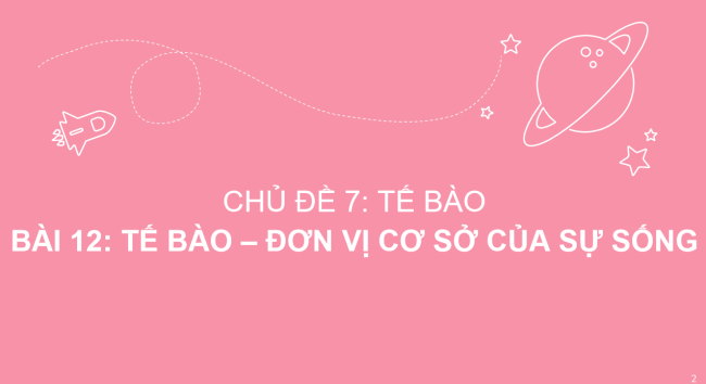 PowerPoint Khoa học tự nhiên 6 Bài 12: Tế bào – đơn vị cơ sở của sự sống