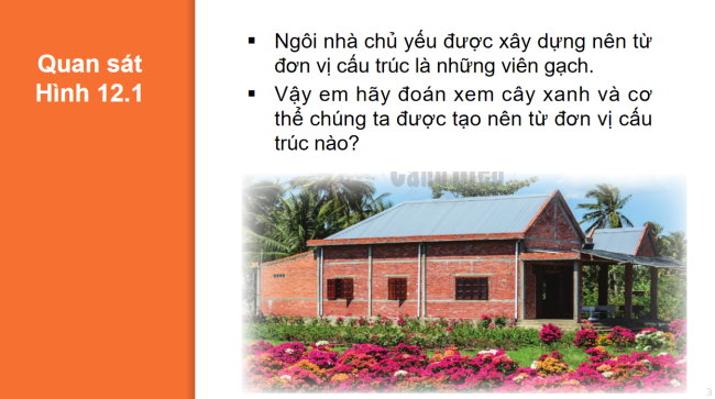 PowerPoint Khoa học tự nhiên 6 Bài 12: Tế bào – đơn vị cơ sở của sự sống