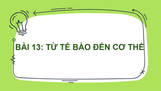 PowerPoint Khoa học tự nhiên 6 Bài 13: Từ tế bào đến cơ thể