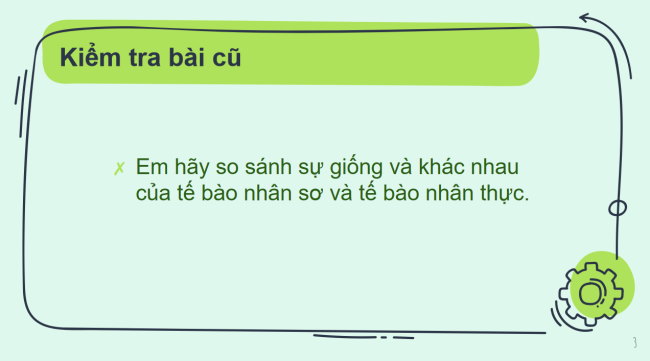 PowerPoint Khoa học tự nhiên 6 Bài 13: Từ tế bào đến cơ thể