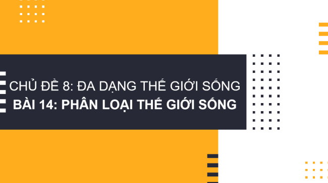 PowerPoint Khoa học tự nhiên 6 Bài 14: Phân loại thế giới sống