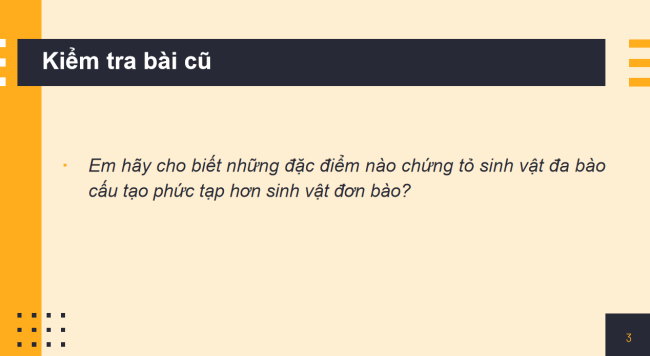 PowerPoint Khoa học tự nhiên 6 Bài 14: Phân loại thế giới sống