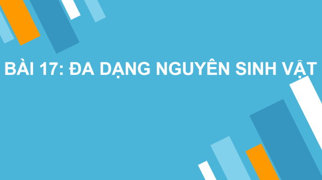 PowerPoint Khoa học tự nhiên 6 Bài 17: Đa dạng nguyên sinh vật