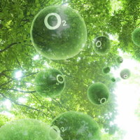 PowerPoint Khoa học tự nhiên 6 Bài 7: Oxygen và không khí