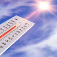 PowerPoint Khoa học tự nhiên 6: Bài tập Chủ đề 1 và 2